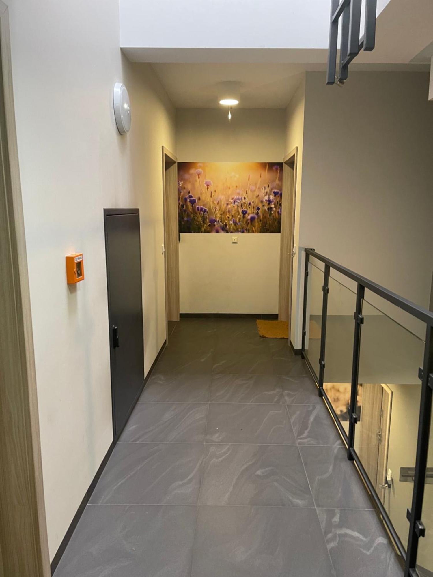 Sunflower Apartment Old Town Krakow Ngoại thất bức ảnh